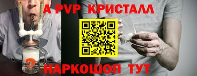 СК Владивосток