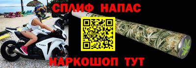 СК Владивосток