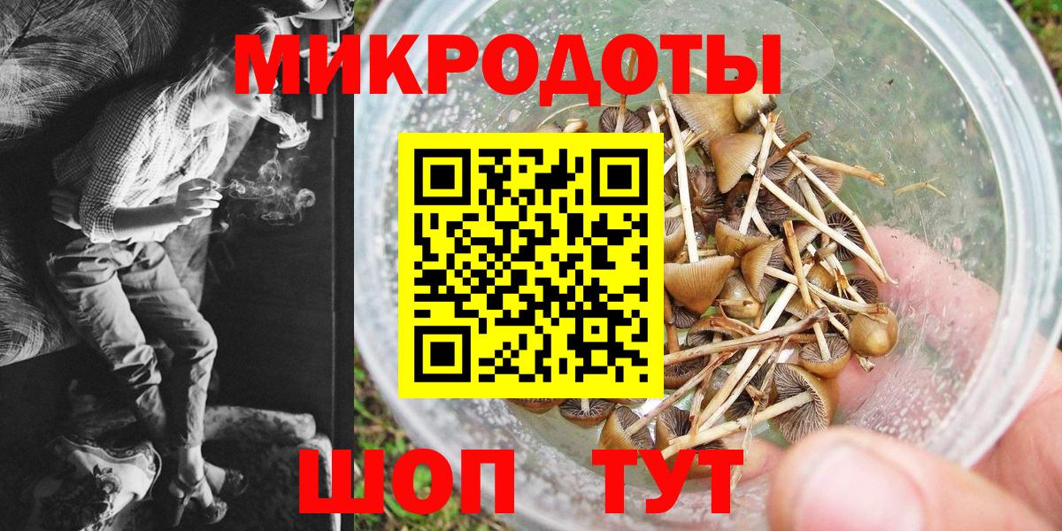 Белогорск  Галлюциногенные грибы Psilocybe  Вход с VPN  Псилоцибиновые грибы GOLDEN TEACHER 